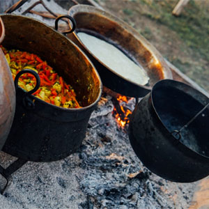 Cooking on a Fire Online Courses