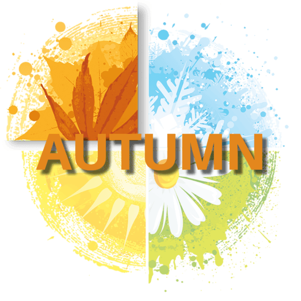 Autumn Module Autumn Module