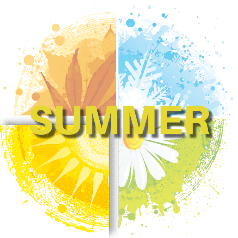 Summer Module