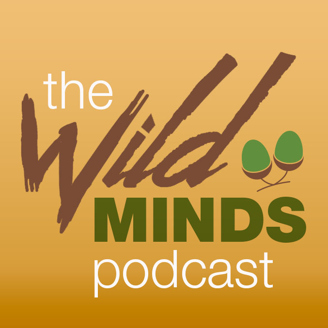 Wild Minds Podcast logo