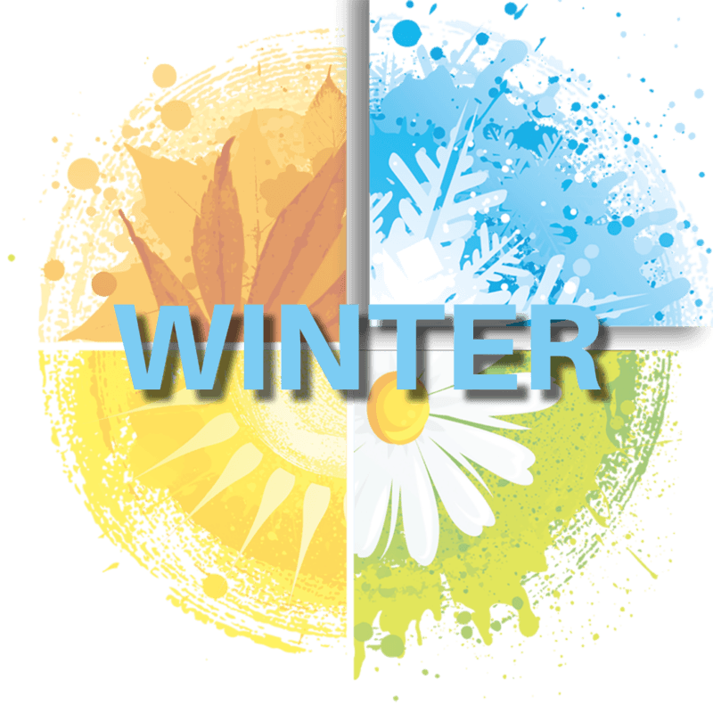 Winter Module Winter Module