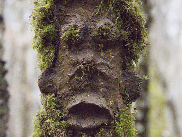 clay face on a tree