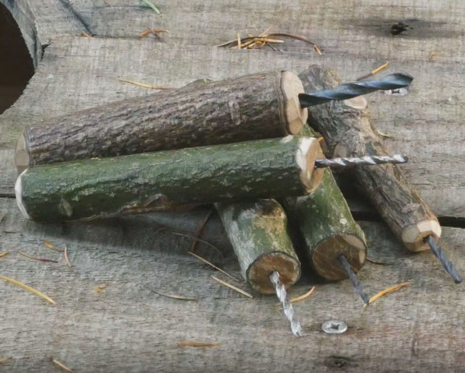 How to make a Palm Drill The Outdoor Teacher Blog