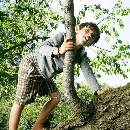 boy climbing a tree