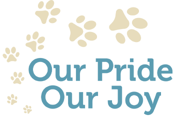 Our-Pride-Our-Joy-logo logo