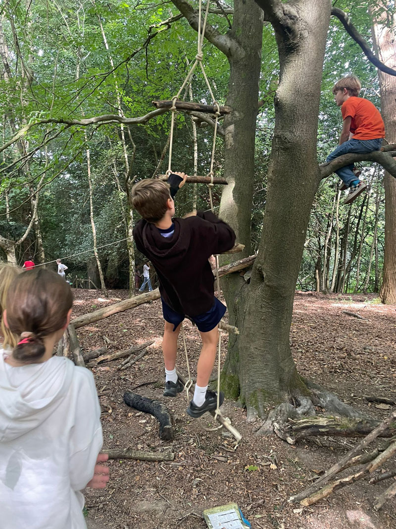 boy climbing tree
